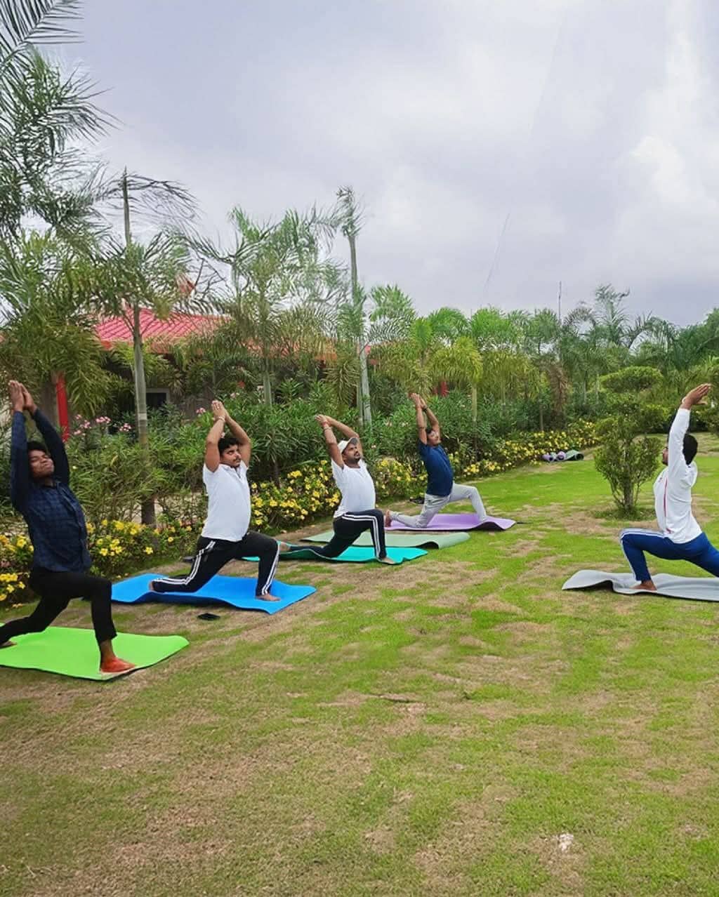 Natural Healing Setup